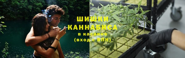 spice Абаза