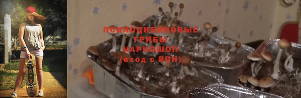 ешки Абинск