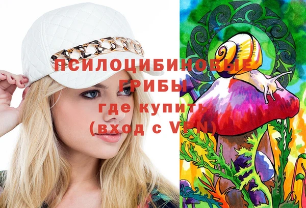 ешки Абинск