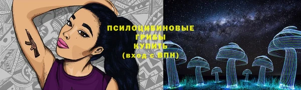 амф Алзамай